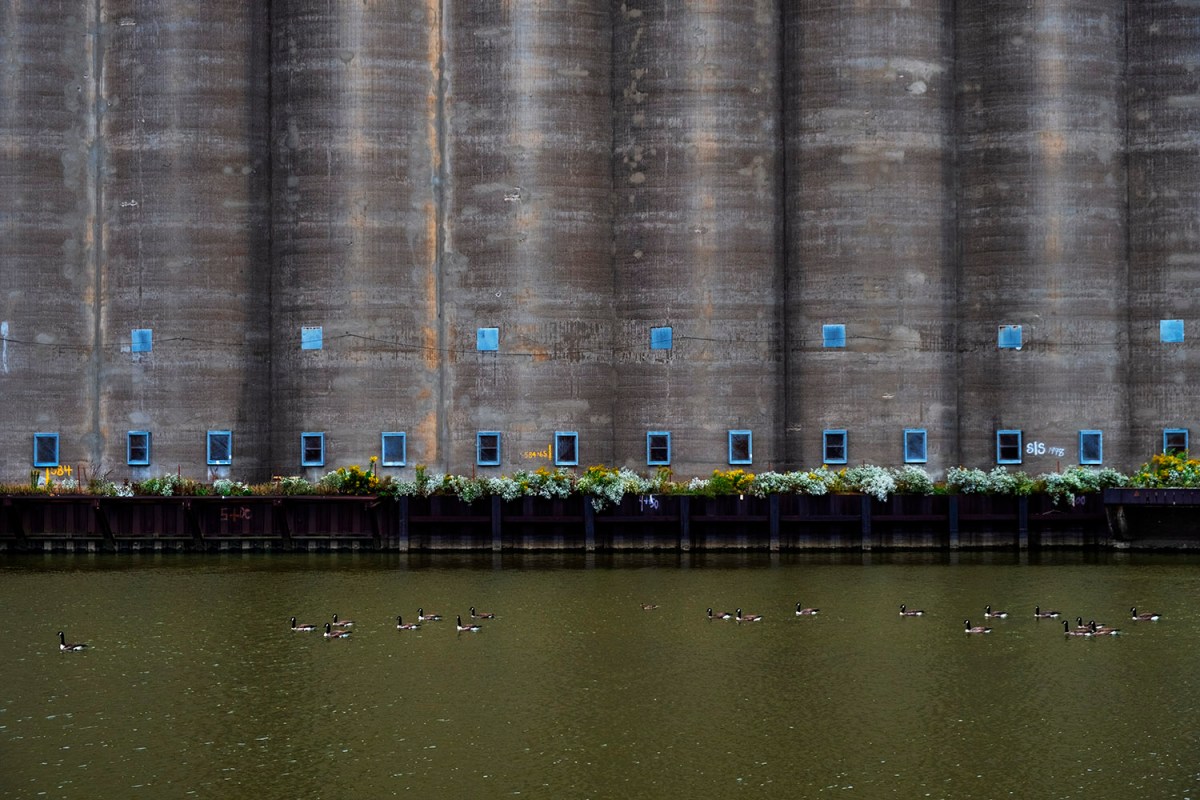 Buffalo.2018_Silo.City.03