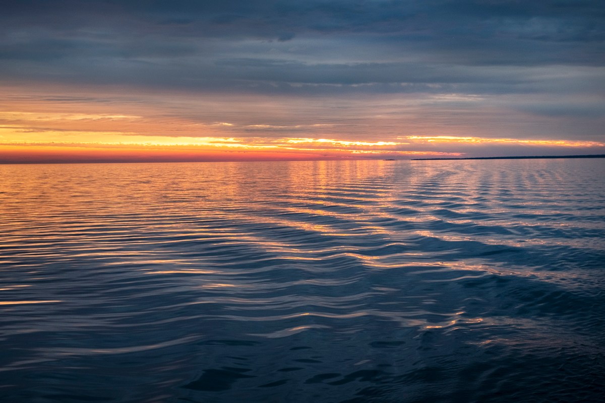 Chi-Cheemaun.2019_31