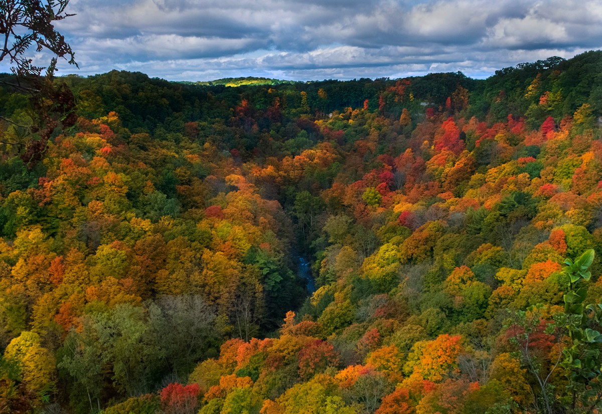 Christie.Lake.2019_fall.colors_01