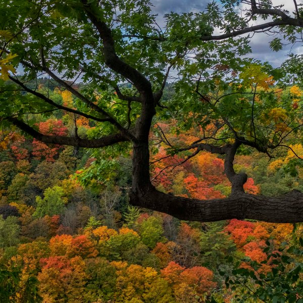 Christie.Lake.2019_fall.colors_02