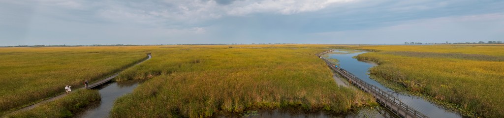 Click to see full panorama.